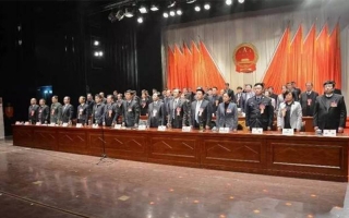 安徽渦陽(yáng)大劇院音響工程